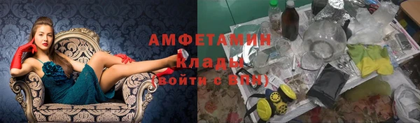 индика Балабаново