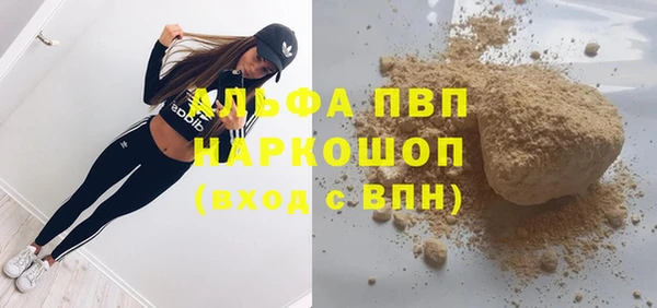 индика Балабаново