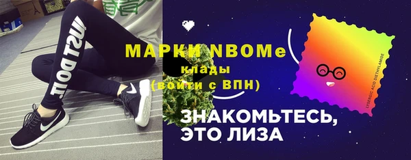 индика Балабаново