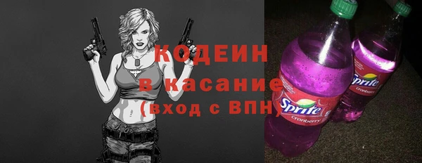 индика Балабаново