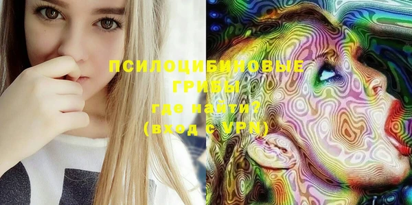 ПСИЛОЦИБИНОВЫЕ ГРИБЫ Баксан