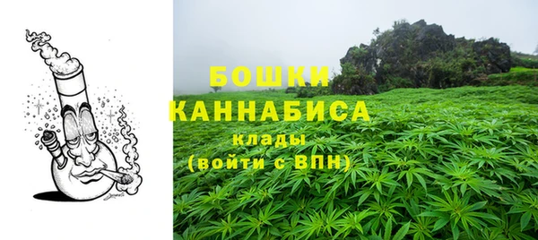 ПСИЛОЦИБИНОВЫЕ ГРИБЫ Баксан