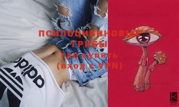 молекула духа Медногорск