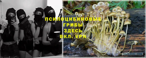 индика Балабаново