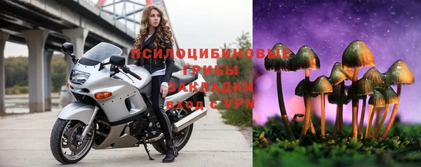 индика Балабаново