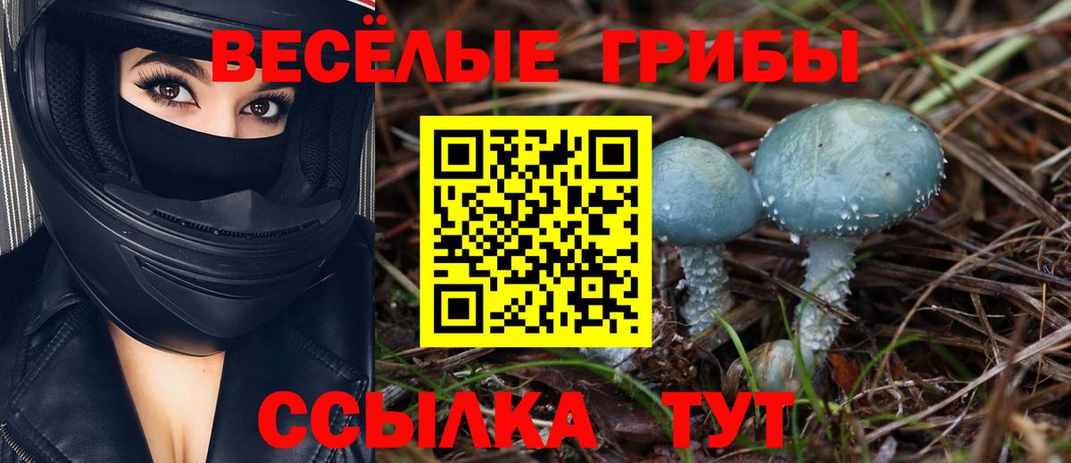 Галлюциногенные грибы GOLDEN TEACHER Черняховск